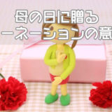母の日に贈るカーネーションの意味
