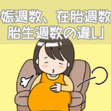 妊娠週数、在胎週数、胎生週数の違い