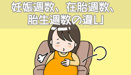 妊娠週数、在胎週数、胎生週数、胎生齢、妊娠齢の違い
